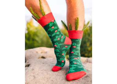 Ponožky Damerry - cesmína